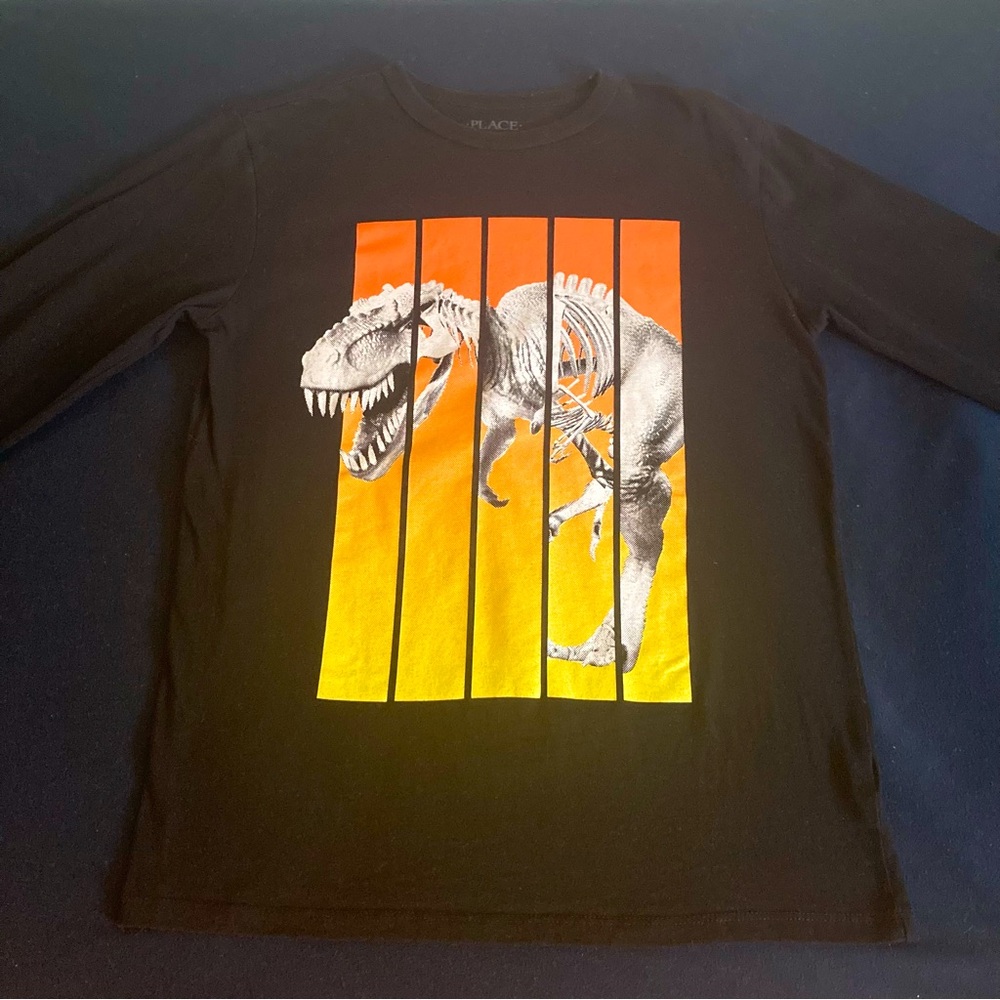 3/$35 PLACE dinosaur shirt